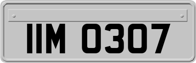 IIM0307