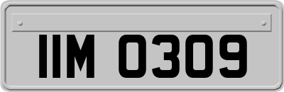 IIM0309