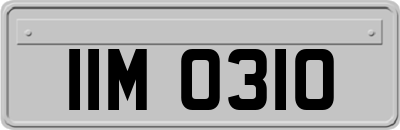 IIM0310