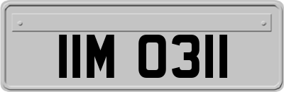 IIM0311