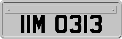 IIM0313