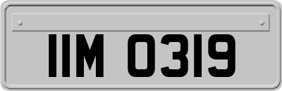 IIM0319