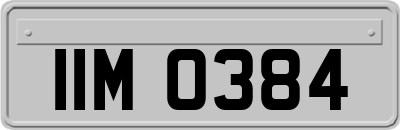 IIM0384