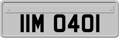 IIM0401