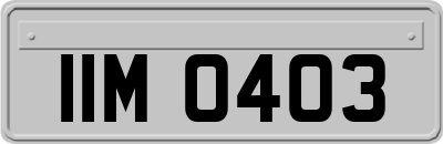 IIM0403