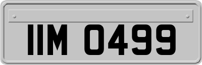 IIM0499
