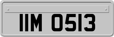 IIM0513