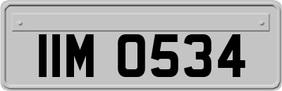 IIM0534