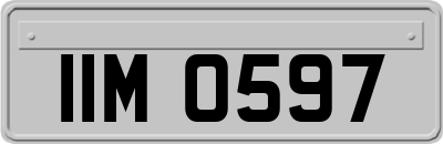 IIM0597