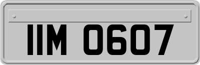IIM0607
