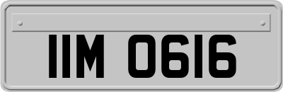 IIM0616