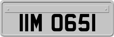 IIM0651