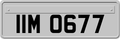 IIM0677