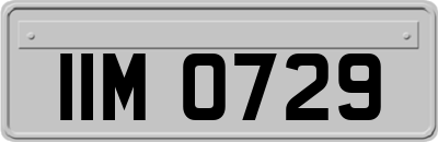 IIM0729