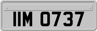 IIM0737