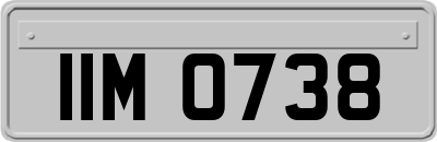 IIM0738