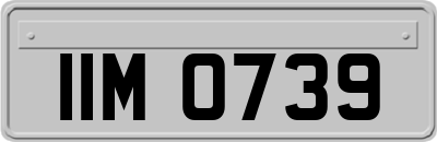 IIM0739