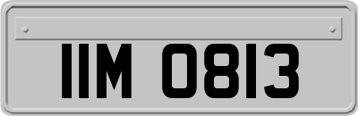 IIM0813