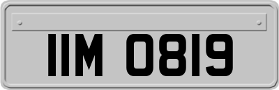 IIM0819