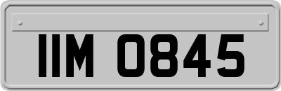 IIM0845