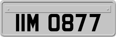 IIM0877