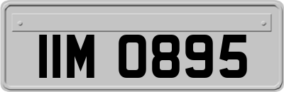 IIM0895