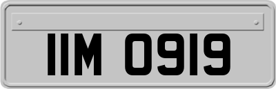 IIM0919