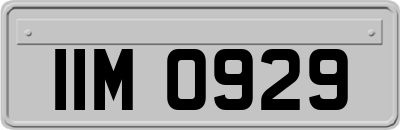 IIM0929