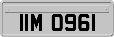 IIM0961