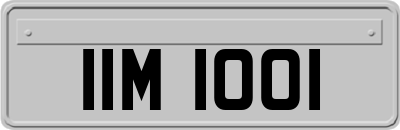 IIM1001