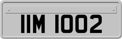 IIM1002