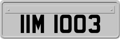IIM1003