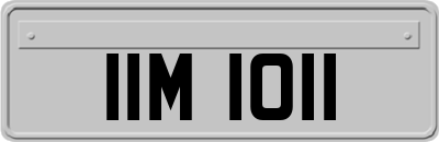 IIM1011