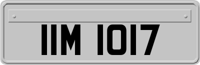 IIM1017