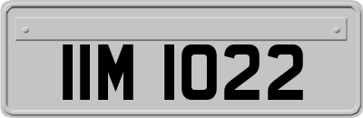 IIM1022