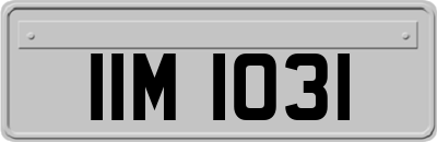 IIM1031