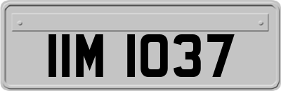 IIM1037