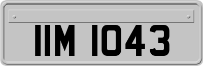 IIM1043