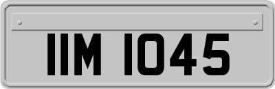 IIM1045