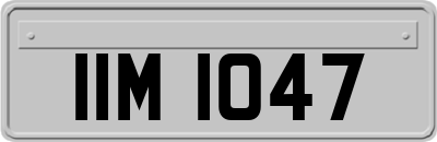IIM1047