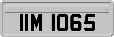 IIM1065