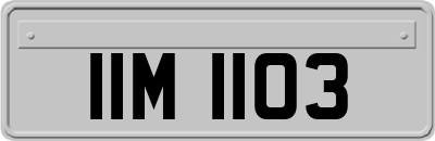 IIM1103