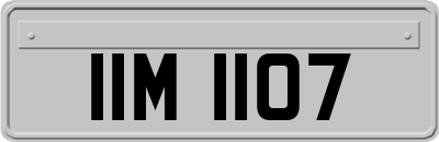 IIM1107