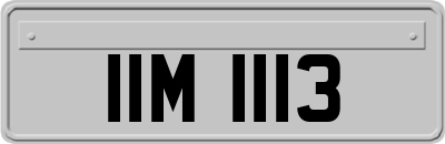 IIM1113