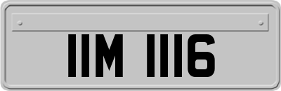 IIM1116