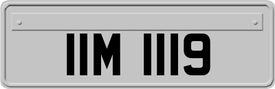 IIM1119