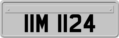 IIM1124