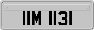 IIM1131