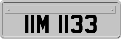 IIM1133