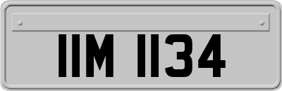 IIM1134